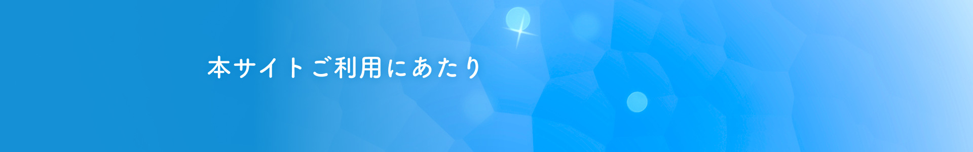 本サイトご利用にあたり